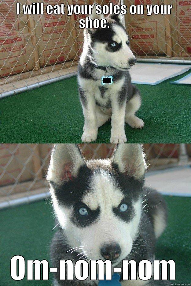 I WILL EAT YOUR SOLES ON YOUR SHOE. OM-NOM-NOM Insanity puppy