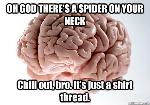 OH GOD THERE'S A SPIDER ON YOUR NECK Chill out, bro. It's just a shirt thread.    Scumbag Brain