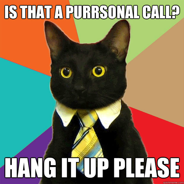 Is that a purrsonal call? hang it up please  Business Cat