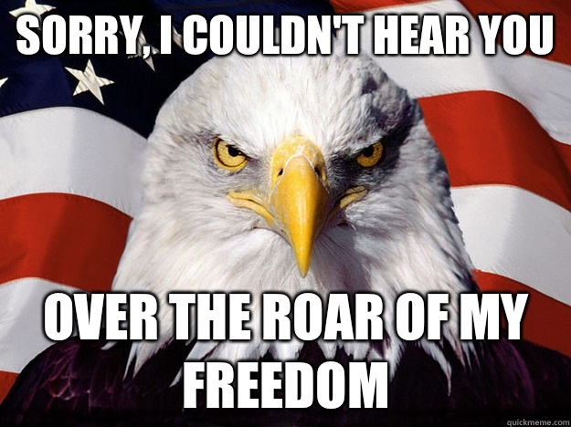 Sorry I Couldn T Hear You Over The Roar Of My Freedom Evil American Eagle Quickmeme