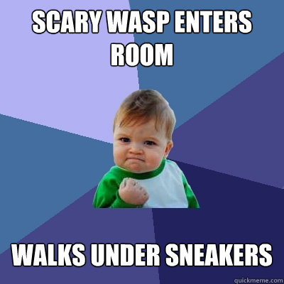 Scary wasp enters room Walks under sneakers  Success Kid