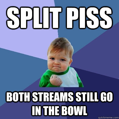 Split piss both streams still go in the bowl  Success Kid