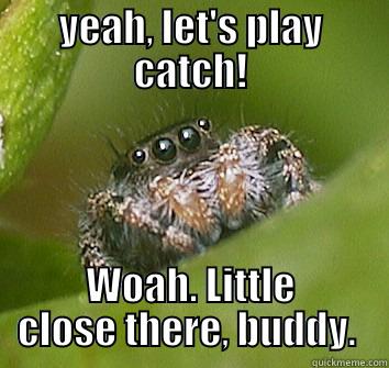 YEAH, LET'S PLAY CATCH! WOAH. LITTLE CLOSE THERE, BUDDY.  Misunderstood Spider