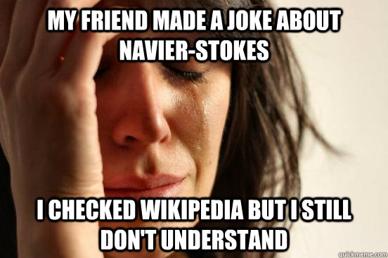 My friend made a joke about Navier-Stokes I checked wikipedia but I still don't understand - My friend made a joke about Navier-Stokes I checked wikipedia but I still don't understand  First World Problems