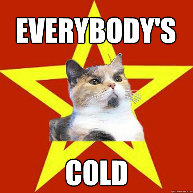 everybody's cold  Lenin Cat