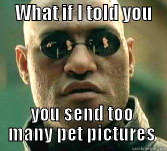     WHAT IF I TOLD YOU     YOU SEND TOO MANY PET PICTURES Matrix Morpheus