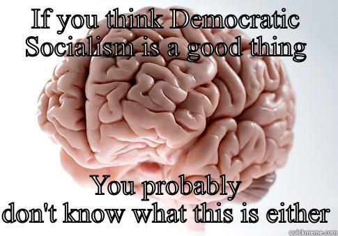 IF YOU THINK DEMOCRATIC SOCIALISM IS A GOOD THING YOU PROBABLY DON'T KNOW WHAT THIS IS EITHER Scumbag Brain