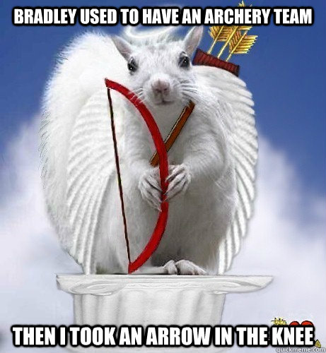 Bradley used to have an archery team Then I took an arrow in the knee - Bradley used to have an archery team Then I took an arrow in the knee  Bradley University meme