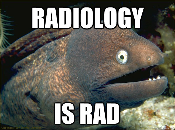 Radiology Is Rad  Bad Joke Eel