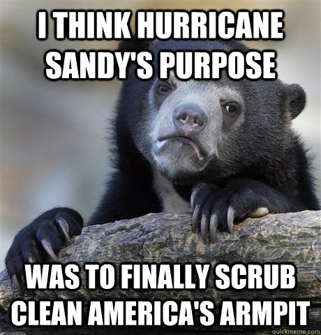 i think hurricane sandy's purpose was to finally scrub clean america's armpit  Confession Bear