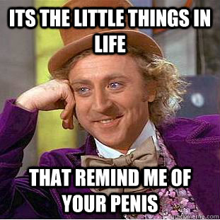 Its the little things in life  That Remind me of your penis  Condescending Wonka