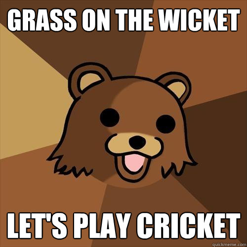 grass on the wicket let's play cricket  Pedobear