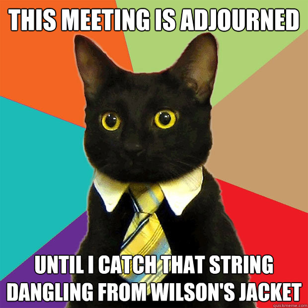 this meeting is adjourned until i catch that string dangling from wilson's jacket  Business Cat