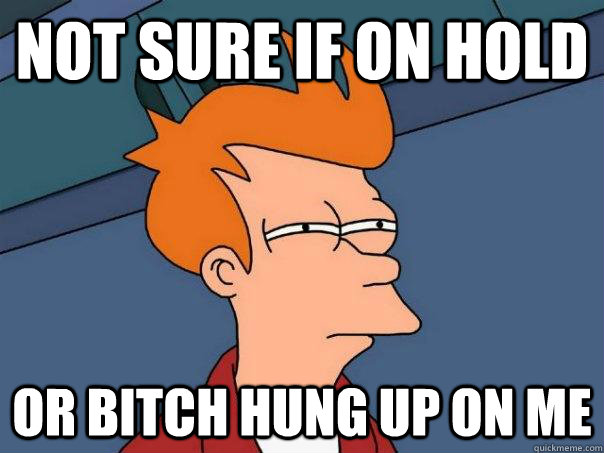 Not sure if on hold Or bitch hung up on me - Not sure if on hold Or bitch hung up on me  Futurama Fry