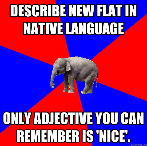 Describe new flat in native language only adjective you can remember is 'nice'.  Foreign language elephant