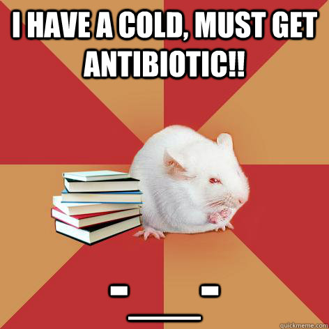 I have a cold, must get antibiotic!!  -__-  Science Major Mouse