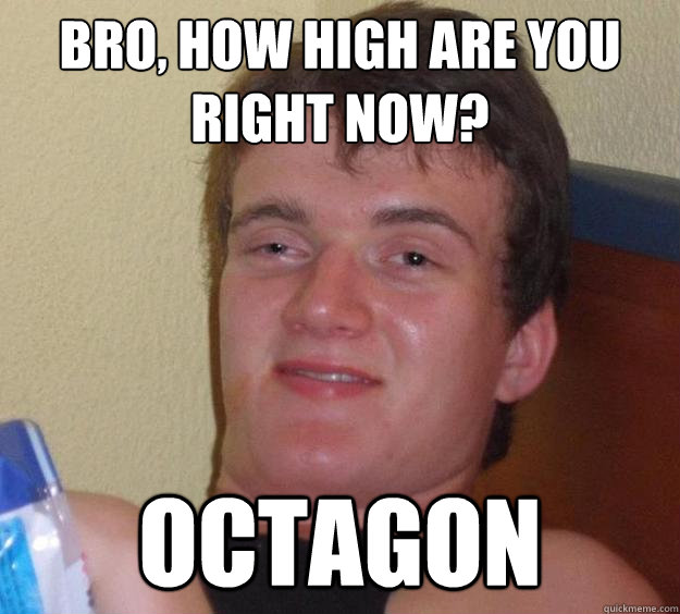 bro, how high are you right now? octagon - bro, how high are you right now? octagon  10 Guy