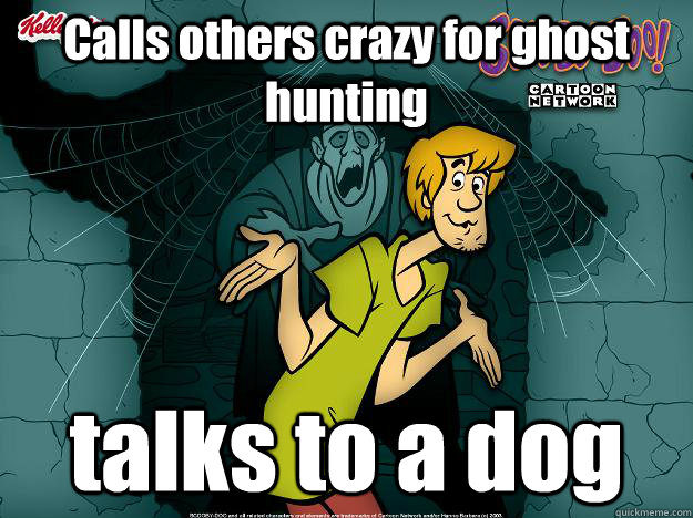 Calls others crazy for ghost hunting talks to a dog  Irrational Shaggy