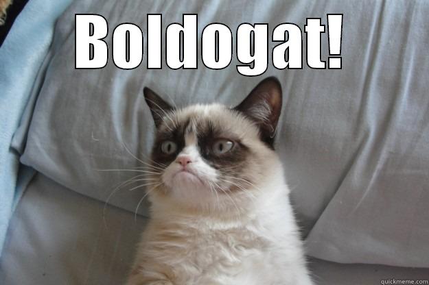 BOLDOGAT!  Grumpy Cat