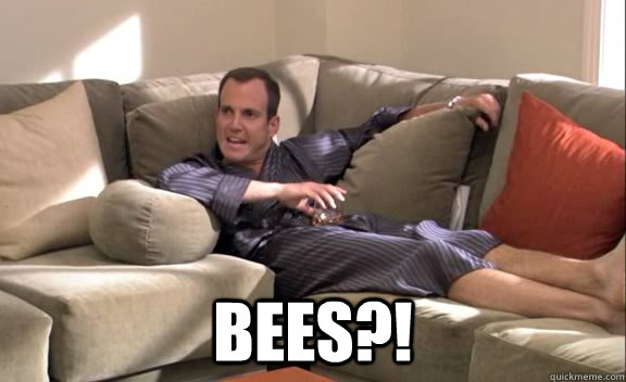  Bees?! -  Bees?!  Misc