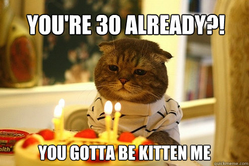 You're 30 already?! You gotta be kitten me - You're 30 already?! You gotta be kitten me  Birthday cat