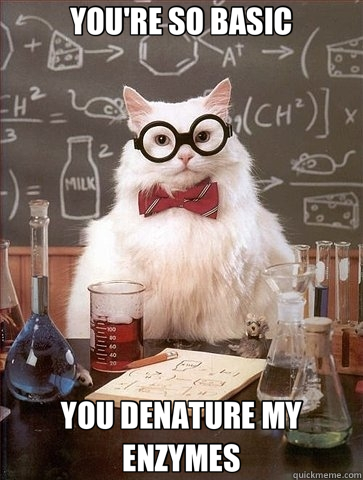 YOU'RE SO BASIC YOU DENATURE MY ENZYMES - YOU'RE SO BASIC YOU DENATURE MY ENZYMES  Chemistry Cat