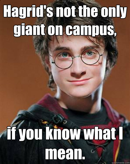 Hagrid's not the only giant on campus, if you know what I mean. - Hagrid's not the only giant on campus, if you know what I mean.  Pick up Line Potter