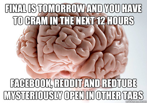 Final is tomorrow and you have to cram in the next 12 hours Facebook, Reddit and RedTube mysteriously open in other tabs - Final is tomorrow and you have to cram in the next 12 hours Facebook, Reddit and RedTube mysteriously open in other tabs  Scumbag Brain