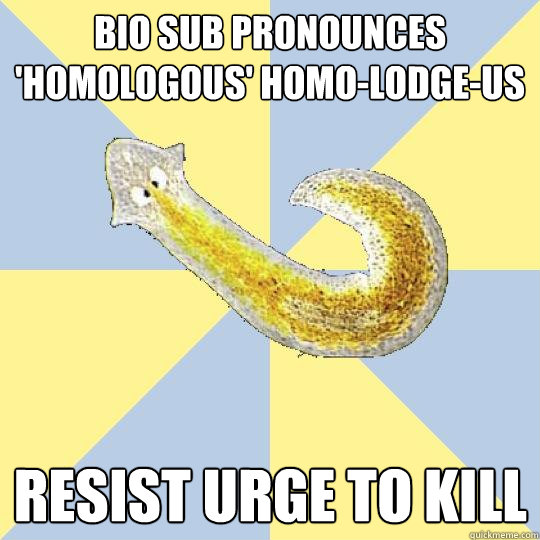 Bio sub pronounces 'homologous' homo-lodge-us Resist urge to kill  Bio Major Planarian