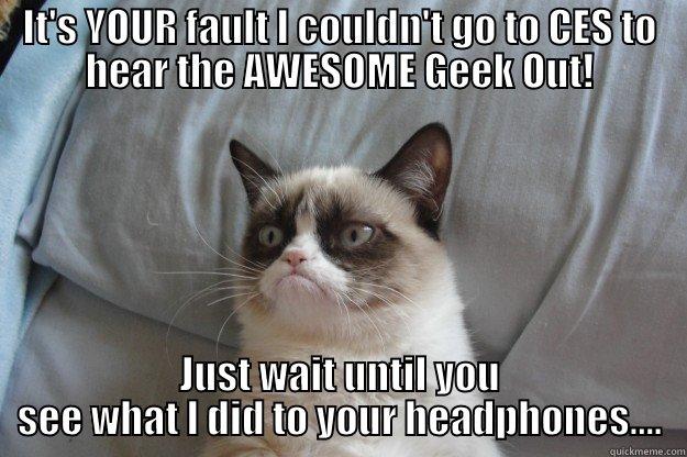 IT'S YOUR FAULT I COULDN'T GO TO CES TO HEAR THE AWESOME GEEK OUT! JUST WAIT UNTIL YOU SEE WHAT I DID TO YOUR HEADPHONES.... Grumpy Cat