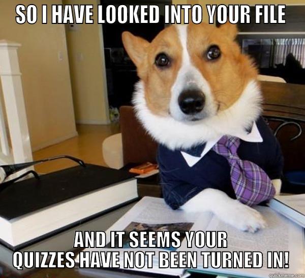 SO I HAVE LOOKED INTO YOUR FILE AND IT SEEMS YOUR QUIZZES HAVE NOT BEEN TURNED IN! Lawyer Dog