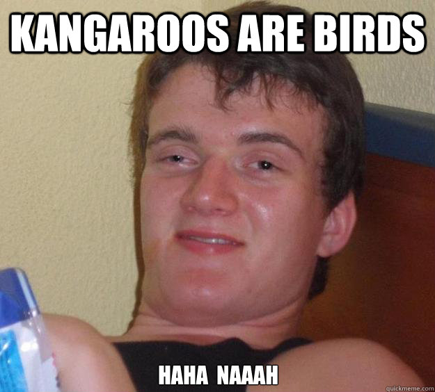 Kangaroos are birds haha  naaah  10 Guy