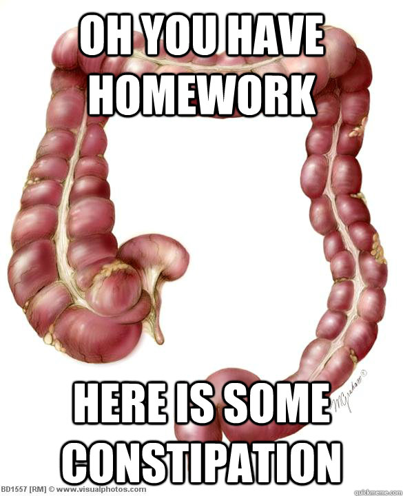 oh you have homework here is some constipation   scumbag large intestine