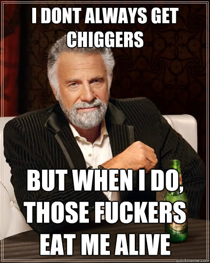 I dont always get chiggers  But when I do, those fuckers eat me alive - I dont always get chiggers  But when I do, those fuckers eat me alive  The Most Interesting Man In The World