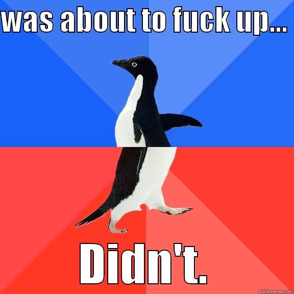 WAS ABOUT TO FUCK UP...  DIDN'T. Socially Awkward Awesome Penguin