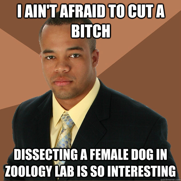 I ain't afraid to cut a bitch dissecting a female dog in zoology lab is so interesting  Successful Black Man