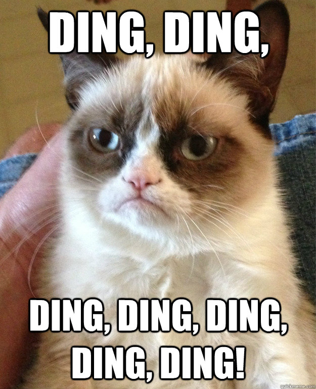 Ding, ding, Ding, ding, ding, ding, ding! - Ding, ding, Ding, ding, ding, ding, ding!  Grumpy Cat