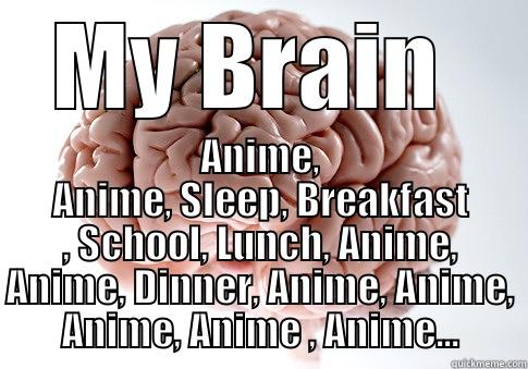 My Brain - MY BRAIN  ANIME, ANIME, SLEEP, BREAKFAST , SCHOOL, LUNCH, ANIME, ANIME, DINNER, ANIME, ANIME, ANIME, ANIME , ANIME... Scumbag Brain