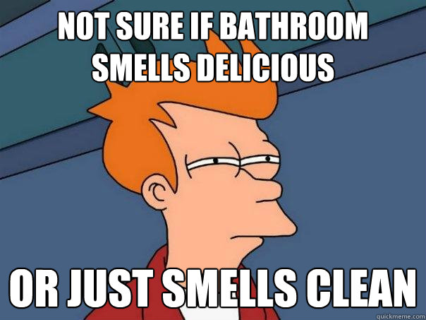 Not sure if bathroom smells delicious Or just smells clean  Futurama Fry