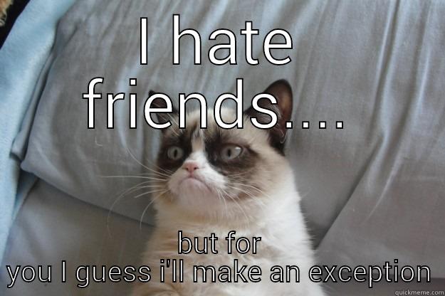 I HATE FRIENDS.... BUT FOR YOU I GUESS I'LL MAKE AN EXCEPTION Grumpy Cat