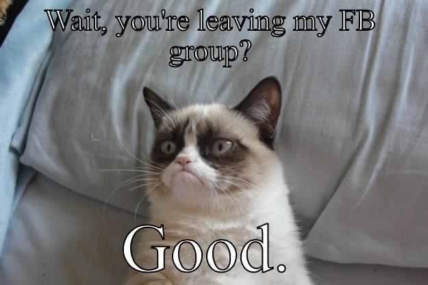 WAIT, YOU'RE LEAVING MY FB GROUP? GOOD. Grumpy Cat