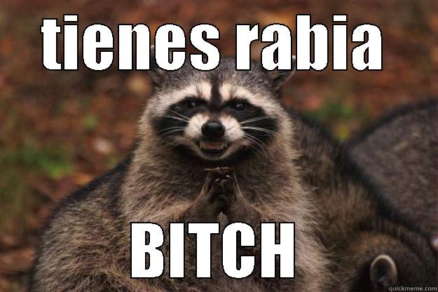 planes malevolos - TIENES RABIA BITCH Evil Plotting Raccoon