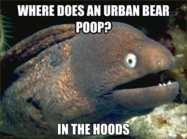 Where does an urban bear poop? In the hoods  Bad Joke Eel