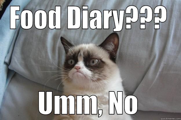 FOOD DIARY??? UMM, NO Grumpy Cat