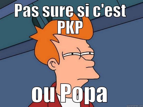 fuc it - PAS SURE SI C'EST PKP OU POPA Futurama Fry