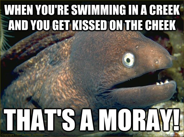 When you're swimming in a creek and you get kissed on the cheek That's a moray! - When you're swimming in a creek and you get kissed on the cheek That's a moray!  Bad Joke Eel