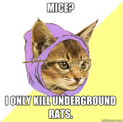 mice? i only kill underground rats.  Hipster Kitty