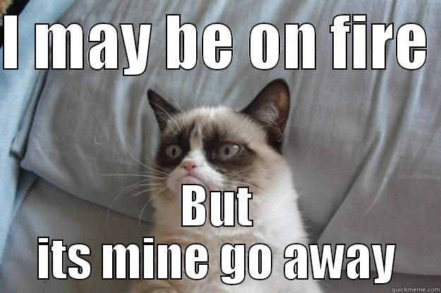 I MAY BE ON FIRE  BUT ITS MINE GO AWAY Grumpy Cat