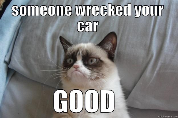 SOMEONE WRECKED YOUR CAR GOOD  Grumpy Cat