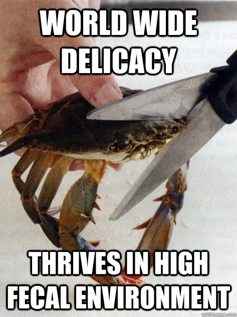 World wide delicacy  Thrives in high fecal environment - World wide delicacy  Thrives in high fecal environment  Optimistic Crab